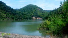 上白村[浙江省寧波奉化市溪口鎮下轄村]