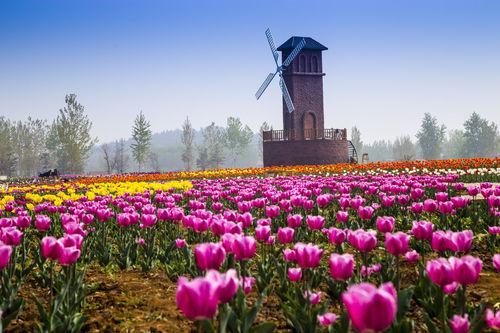 九頂蓮花山生態農業觀光園