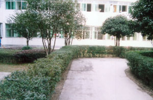 （圖）公安縣人民醫院