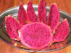 嫦娥1號火龍果 嫦娥1號火龍果