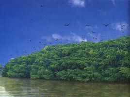 新會天馬村 新會天馬村