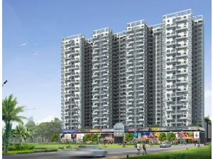 深圳世紀新城 深圳世紀新城