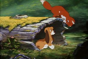 （圖）《狐狸與獵狗》