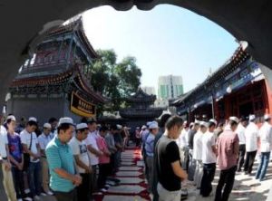 中國回教青年團 中國回教青年團