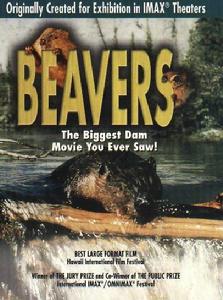 海狸一家 海狸一家