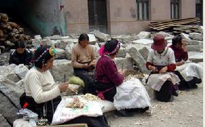 藏族造紙技藝