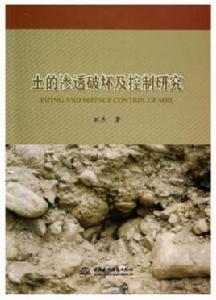 土的滲透破壞及控制研究 土的滲透破壞及控制研究