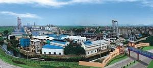 浙江龍盛 浙江龍盛