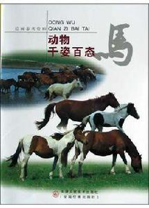 動物千姿百態（馬）