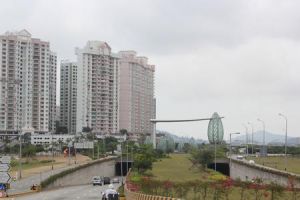 澳門凼仔體育場 澳門凼仔體育場