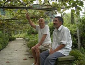 哈拉黑鎮 哈拉黑鎮