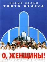 《過錯》 《過錯》