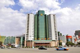 綿陽王子大酒店 綿陽王子大酒店