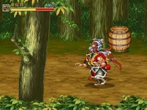 三國志夏侯惇傳 三國志夏侯惇傳