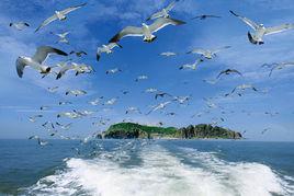 海驢島風景區 海驢島風景區