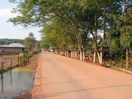 東洋自然村 東洋自然村