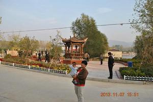 費村村[安徽宿州市蕭縣白土鎮費村村]