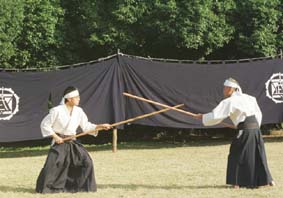 柳生心眼流 柳生心眼流