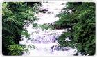龍草瀑布
