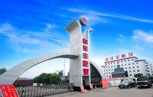 湖北新洋豐肥業股份有限公司