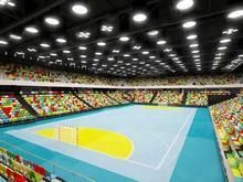 倫敦奧運會手球館 倫敦奧運會手球館