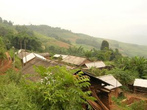 平新寨村 平新寨村