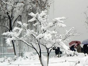 （圖）暴雪