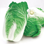 亞洲大春 亞洲大春