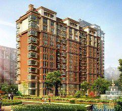 金海國際 金海國際