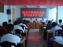 瑞金市林業局 瑞金市林業局