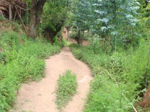 阿務打自然村 阿務打自然村