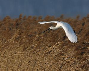 圖牧吉自然保護區