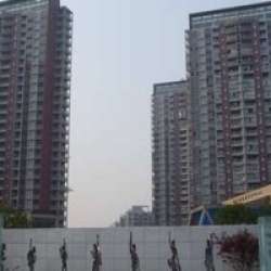 土橋新尚城 土橋新尚城