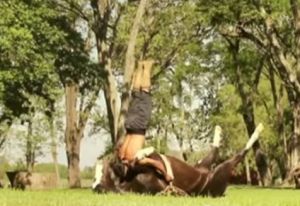 人馬瑜伽 人馬瑜伽