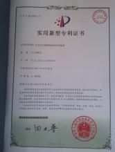 專利申請號 專利申請號