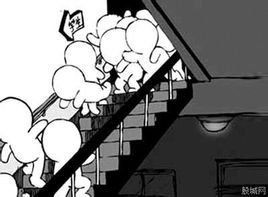 踩踏事故 踩踏事故