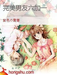 完美男友六加一