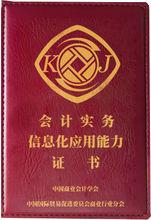 會計信息化證