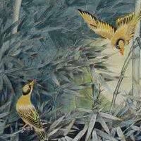 月出驚山鳥 月出驚山鳥