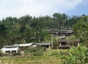 下河心自然村 下河心自然村