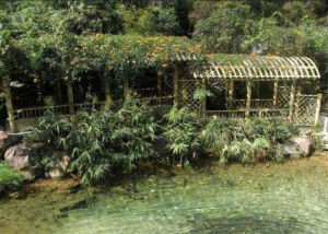 西岸[當代詩人筆名]