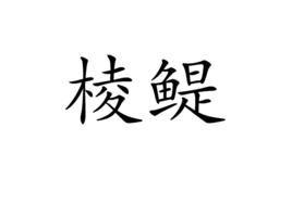 棱鯷 棱鯷