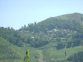 奇梁寨村 奇梁寨村