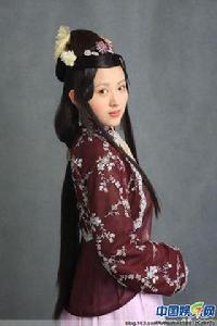 <<紅樓夢>>[2010年李少紅執導的古裝情感劇]