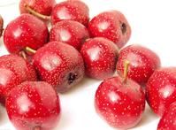 晉城紅果 晉城紅果