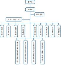 湛江市旅遊投資集團組織架構