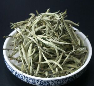 雲南白毫 雲南白毫