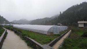 黃瓜屯村 黃瓜屯村