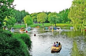 上海共青森林公園