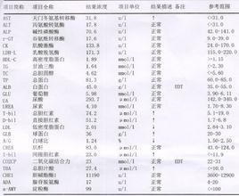 肝功能化驗單 肝功能化驗單